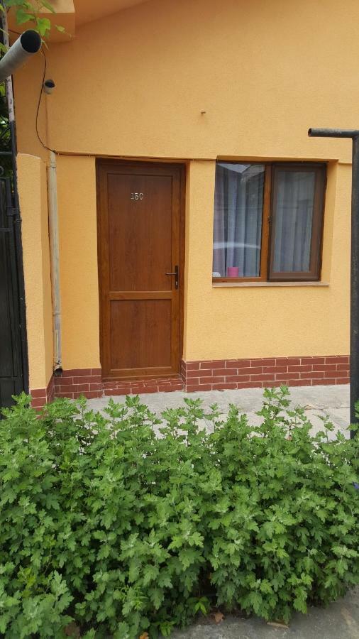 康斯坦察Strada Banu Mihalcea Nr. 150别墅 外观 照片